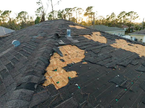 Best Slate Roofing  in Fort Deposit, AL